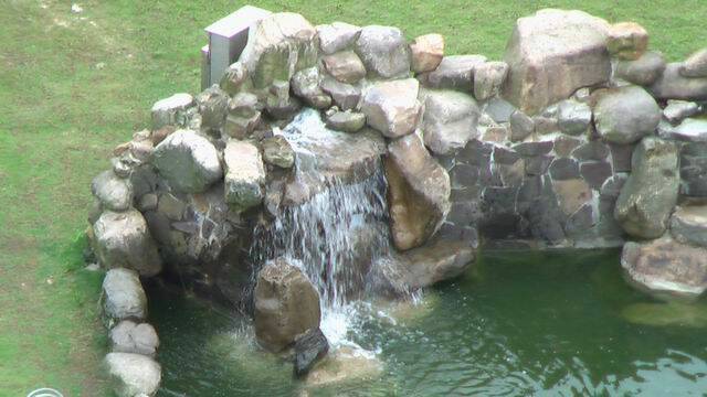 IMGA0022.JPG