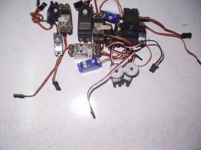 P1010004.JPG