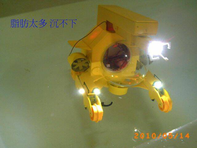PICT0537.JPG