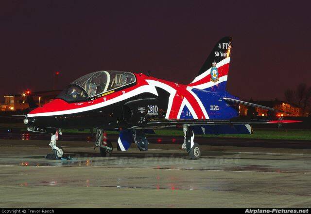 hawk-1.jpg