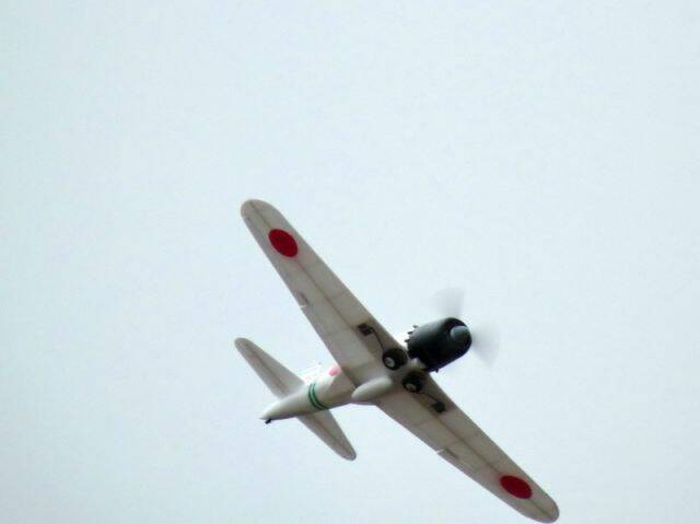 P1050460.JPG
