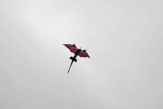 IMG_1483.JPG