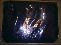 20100509137.jpg