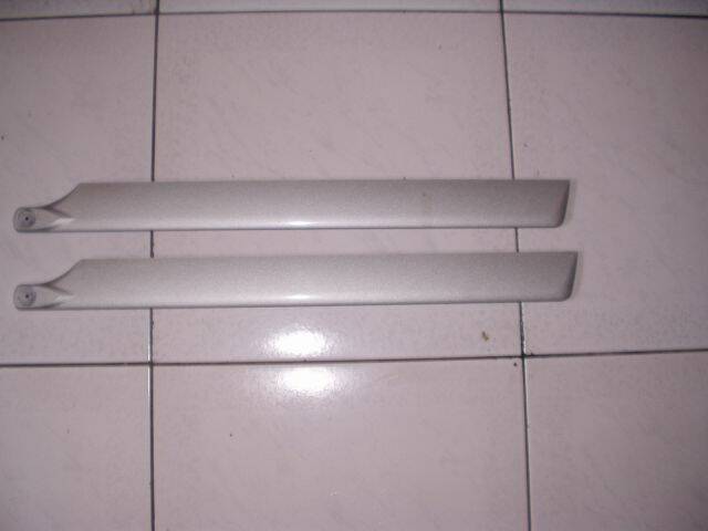 P1010001.JPG