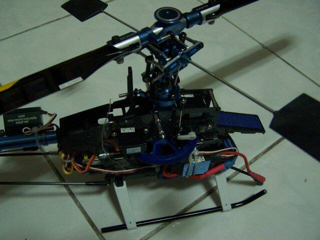 100_2870.JPG