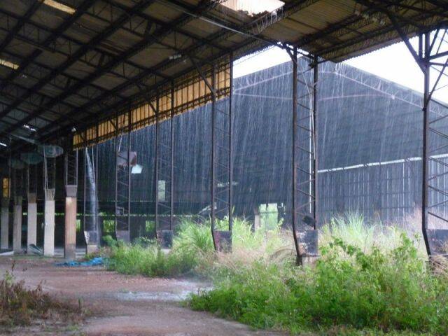 P1050503.JPG