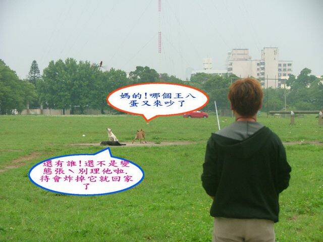 DSCF3923.jpg