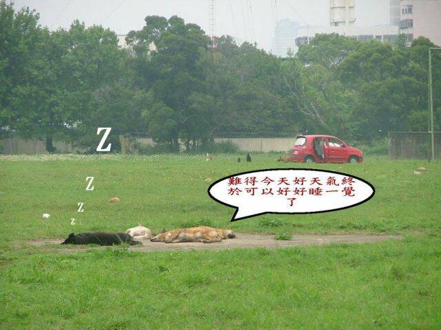 DSCF3922.jpg