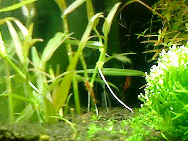 DSC00168.JPG