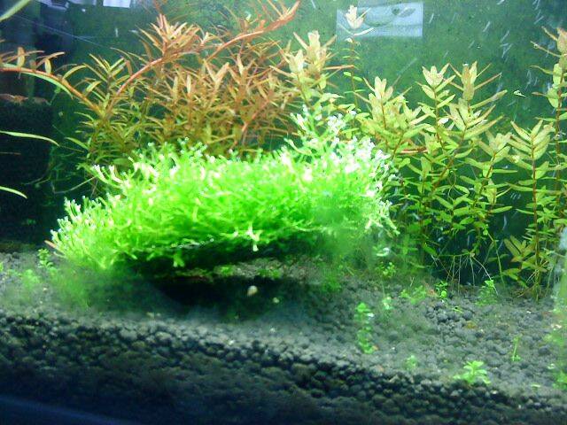 DSC00144.JPG