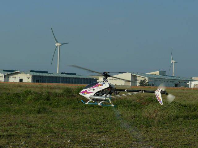 P1000590-1.jpg