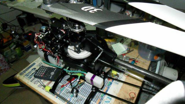 SDC10339.JPG