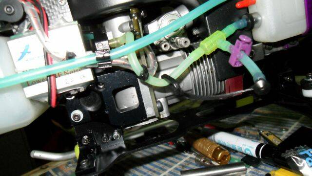 SDC10348.JPG