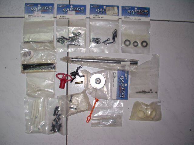 P1010004.JPG