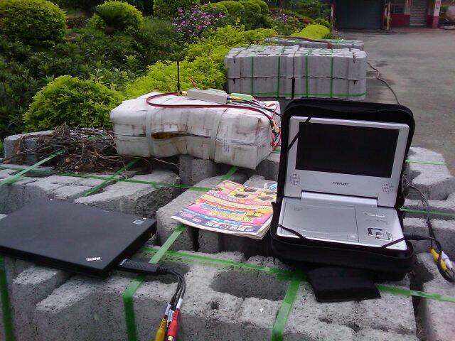 IMAG0111.jpg