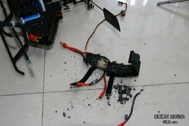 20100530_1.jpg