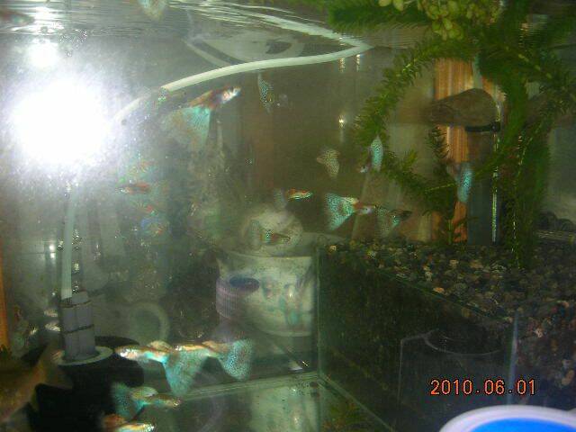 DSCN0879.JPG