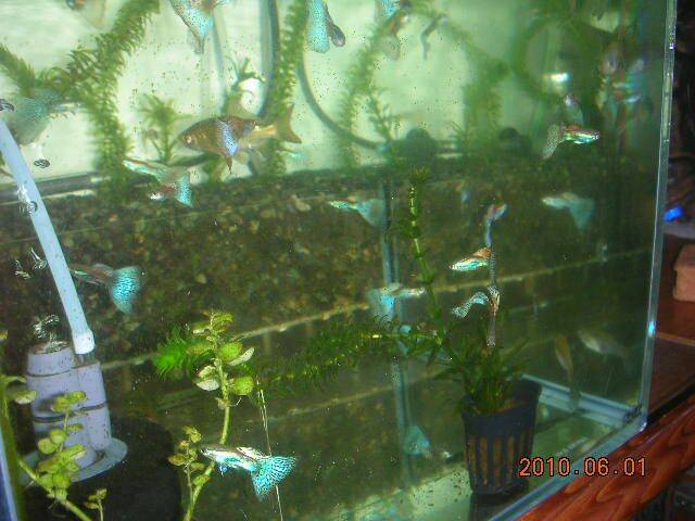 DSCN0886.JPG