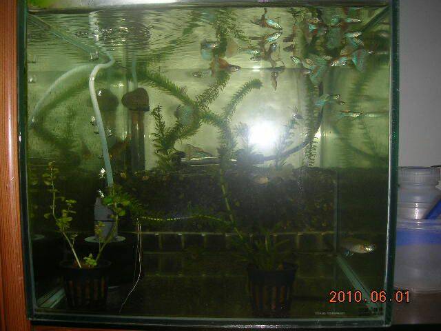 DSCN0871.JPG