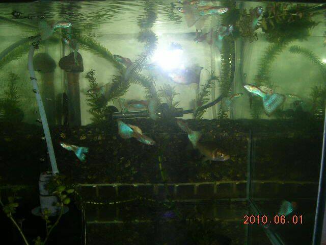 DSCN0883.JPG
