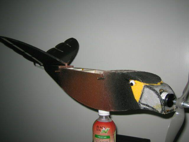 001.JPG