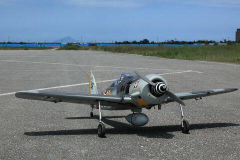 f2.JPG