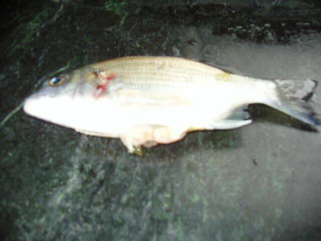 照片 014.jpg
