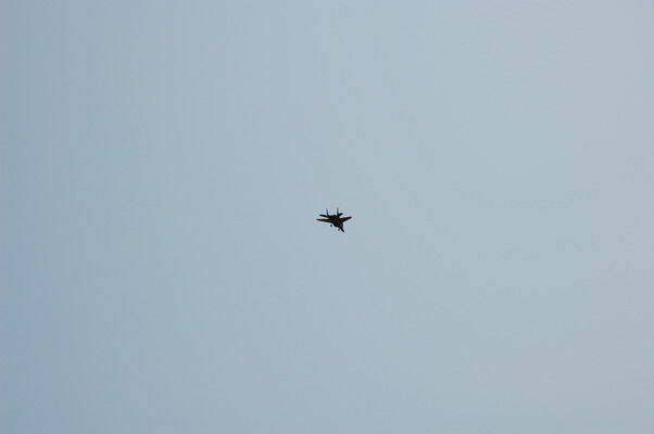 DSC_2497_大小.JPG