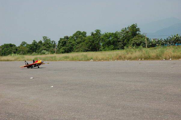 DSC_2503_大小.JPG