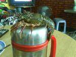 DSC03322.jpg