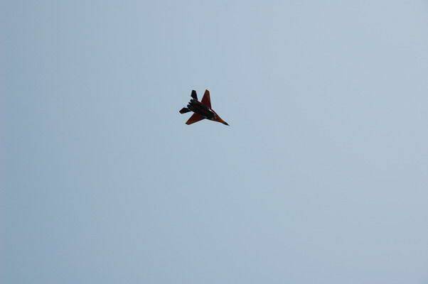 DSC_2495_大小.JPG