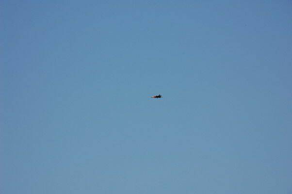 DSC_2498_大小.JPG