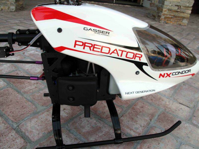 condor03.jpg