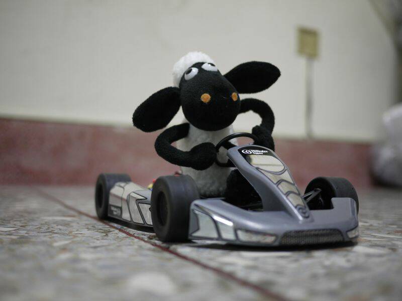 P1000243z.jpg