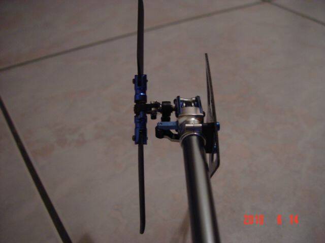 DSC00255.JPG