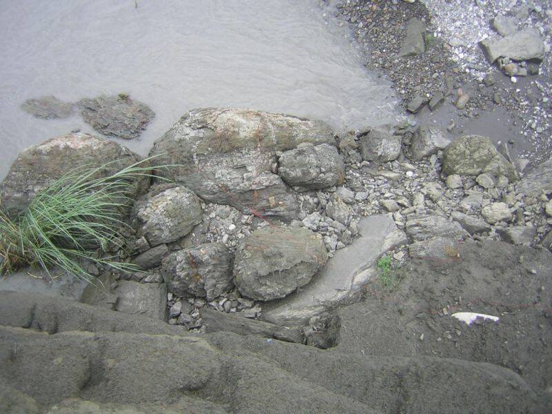DSCN5774.JPG