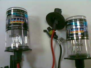 20100612(002).jpg