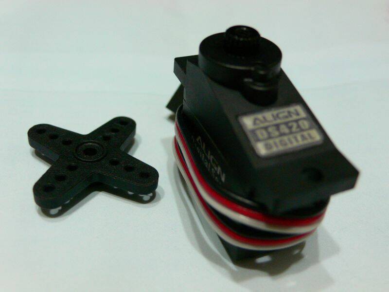 P1030415.JPG