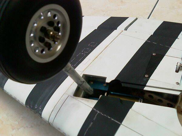 IMAG0461.jpg