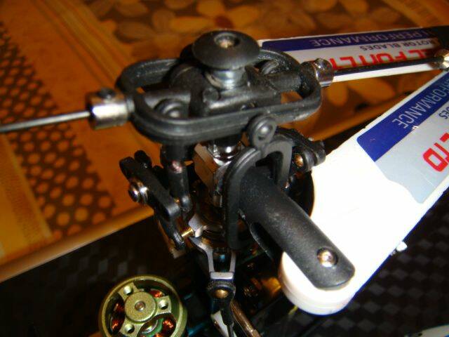 DSC00271.JPG