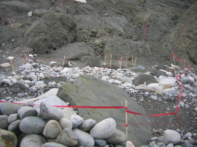 DSCN5800.JPG