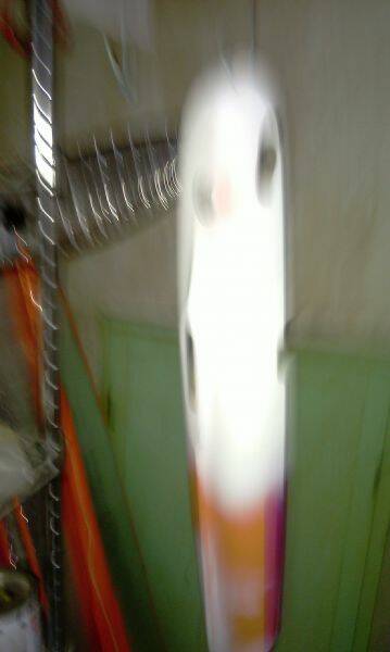 IMAG0061.jpg