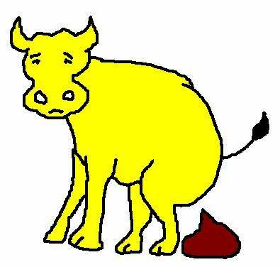 Yellow Cow.JPG