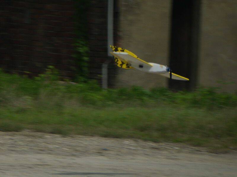 P1000799.JPG
