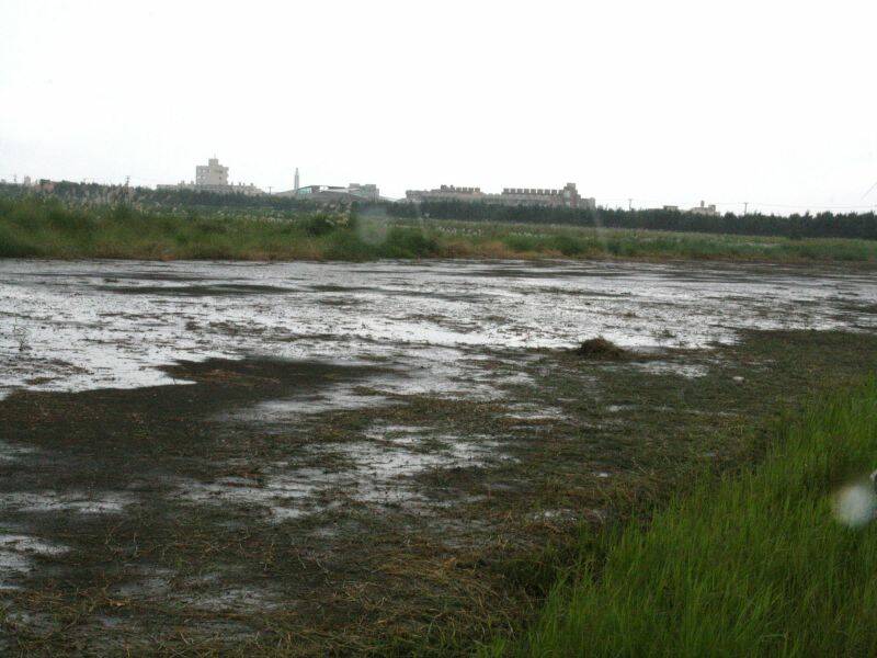 一分鐘光景基地就這樣了