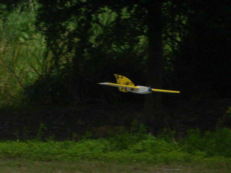 P1000798.JPG