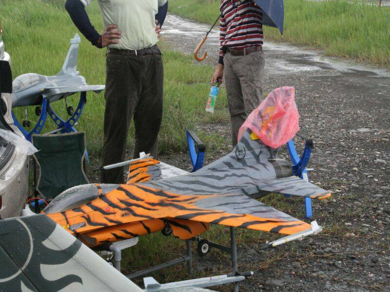 奇怪虎斑只蓋直尾翼，有人知道為何嗎？