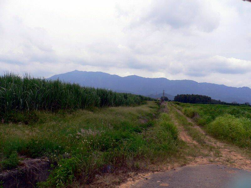 P1110821.JPG