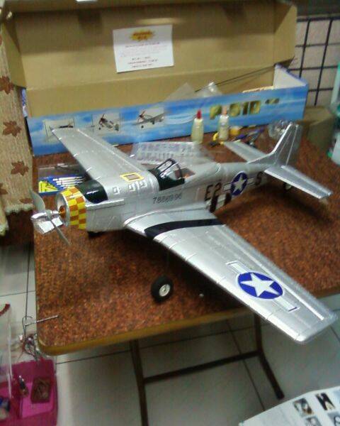 p-51完成塗裝.jpg