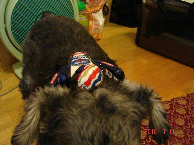 DSC04666.JPG